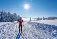 vallningsfria skidor test